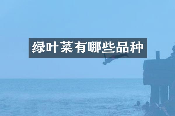 绿叶菜有哪些品种
