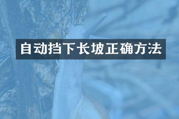 自动挡下长坡正确方法