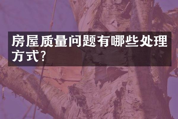 房屋质量问题有哪些处理方式？