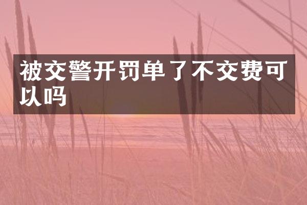 被交警开罚单了不交费可以吗