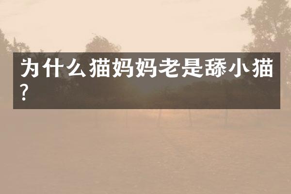 为什么猫妈妈老是舔小猫?