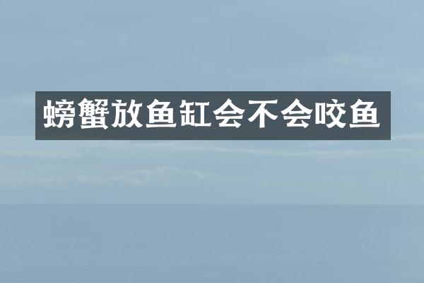 螃蟹放鱼缸会不会咬鱼