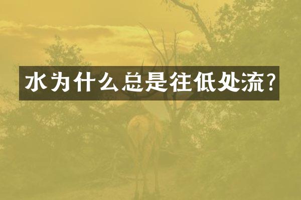 水为什么总是往低处流?