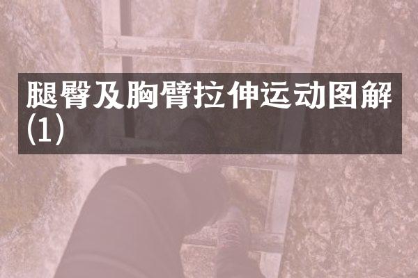 腿臀及胸臂拉伸运动图解(1)