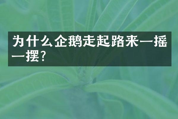 为什么企鹅走起路来一摇一摆？