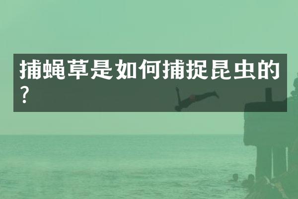 捕蝇草是如何捕捉昆虫的？