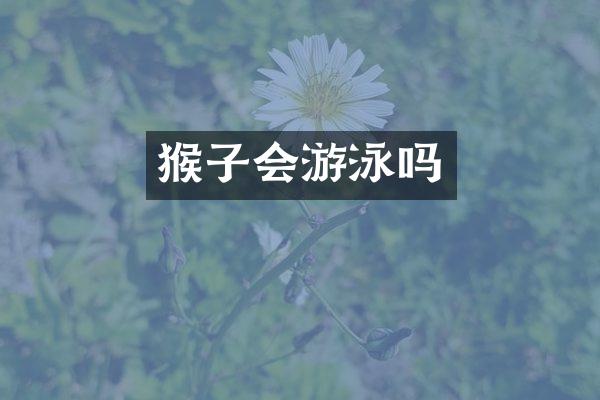 猴子会游泳吗