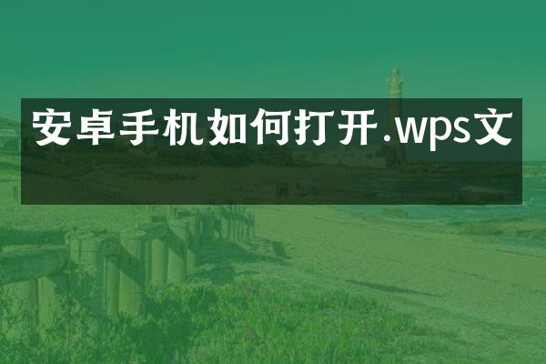 安卓手机如何打开.wps文件