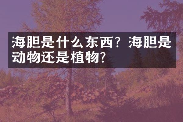 海胆是什么东西？海胆是动物还是植物？
