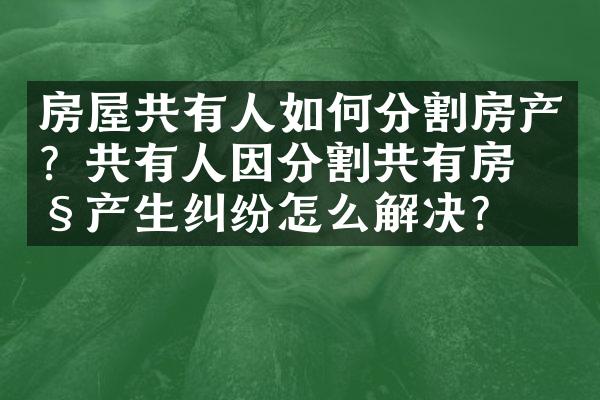 房屋共有人如何分割房产？共有人因分割共有房产产生纠纷怎么解决？