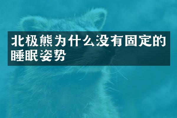 北极熊为什么没有固定的睡眠姿势
