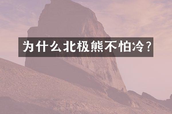 为什么北极熊不怕冷?