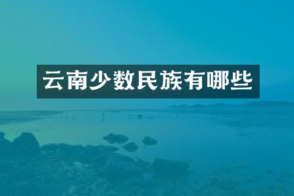云南少数民族有哪些
