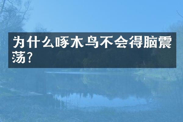 为什么啄木鸟不会得脑震荡?