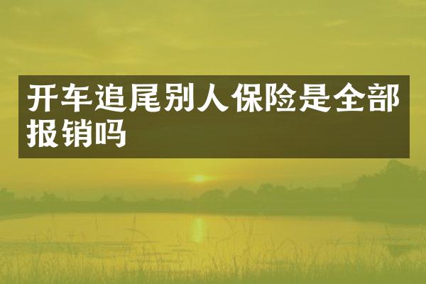 开车追尾别人保险是全部报销吗