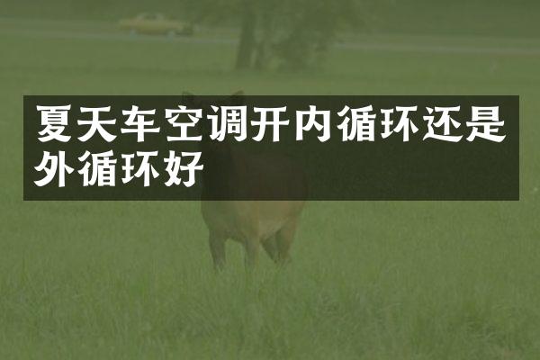 夏天车空调开内循环还是外循环好