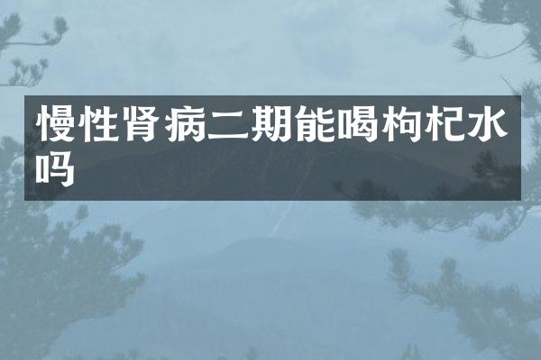慢性肾病二期能喝枸杞水吗