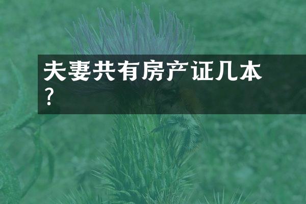 ﻿﻿夫妻共有房产证几本？