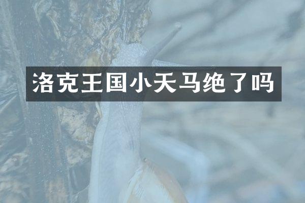 洛克王国小天马绝了吗