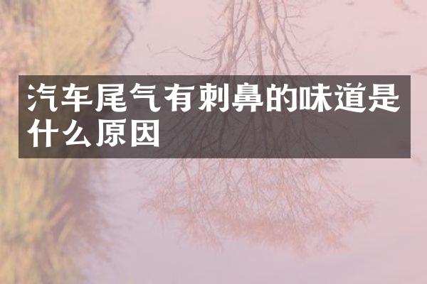 汽车尾气有刺鼻的味道是什么原因