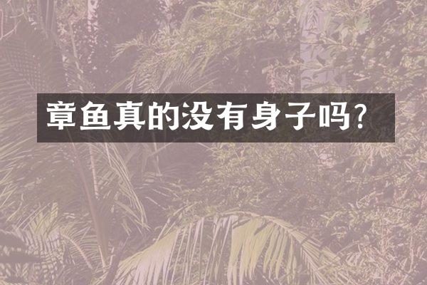 章鱼真的没有身子吗？