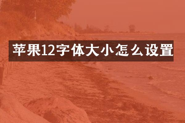 苹果12字体大小怎么设置