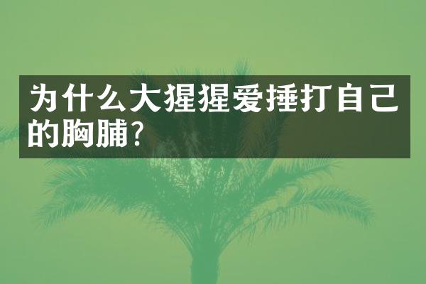 为什么大猩猩爱捶打自己的胸脯？