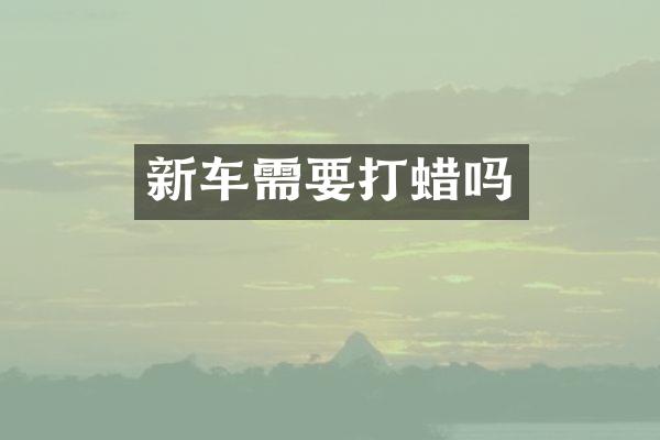 新车需要打蜡吗