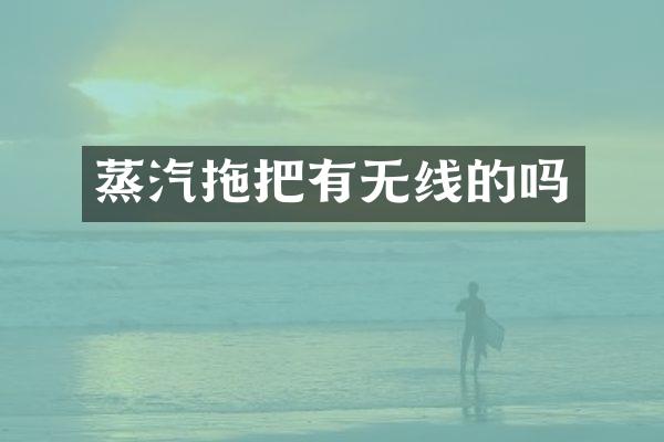 蒸汽拖把有无线的吗
