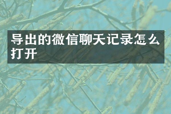 导出的微信聊天记录怎么打开