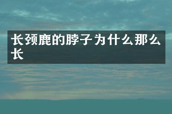 长颈鹿的脖子为什么那么长