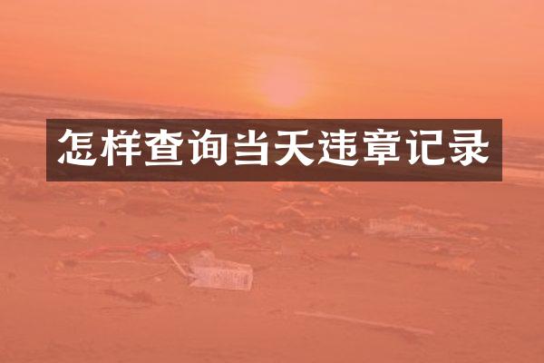 怎样查询当天违章记录