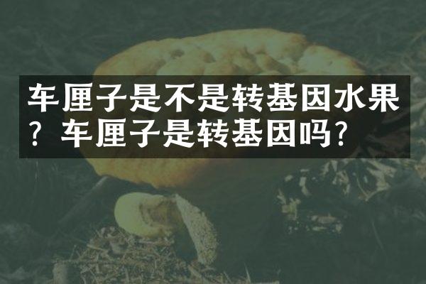 车厘子是不是转基因水果？车厘子是转基因吗？