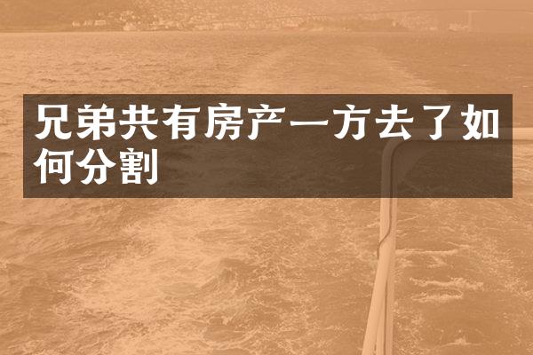 兄弟共有房产一方去了如何分割
