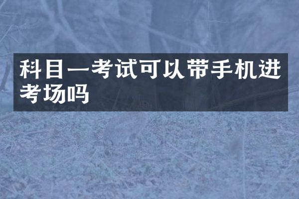 科目一考试可以带手机进考场吗
