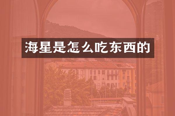 海星是怎么吃东西的