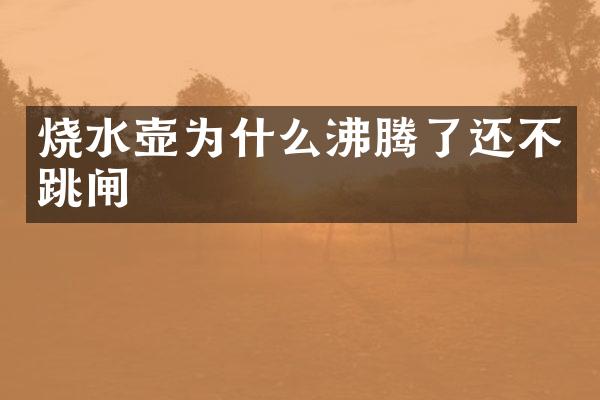 烧水壶为什么沸腾了还不跳闸
