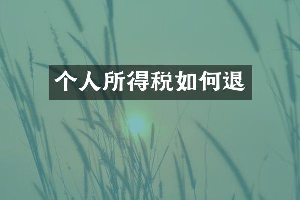 个人所得税如何退