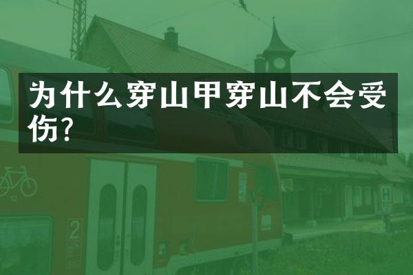为什么穿山甲穿山不会受伤?
