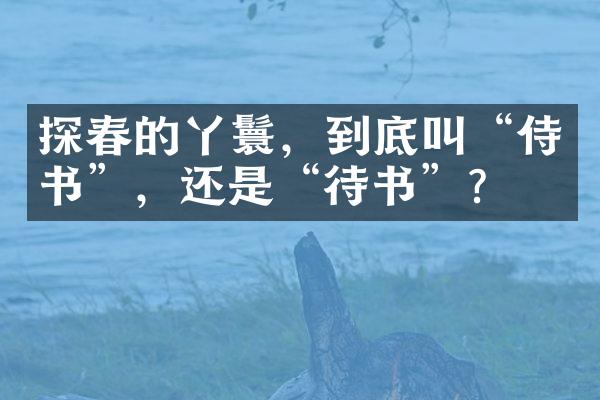 探春的丫鬟，到底叫“侍书”，还是“待书”？