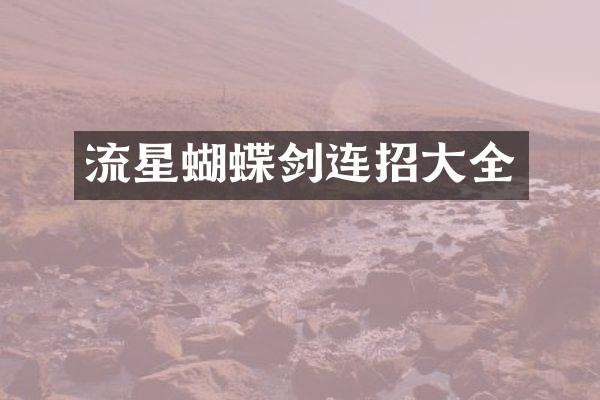 流星蝴蝶剑连招大全