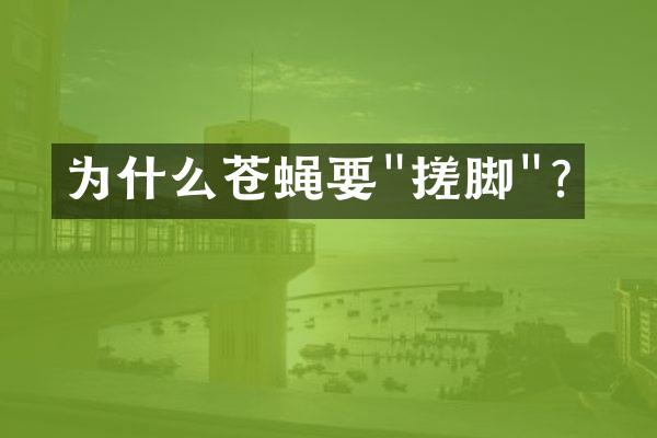 为什么苍蝇要"搓脚"？
