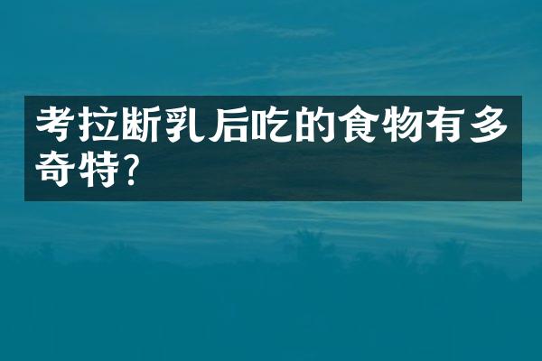 考拉断乳后吃的食物有多奇特?