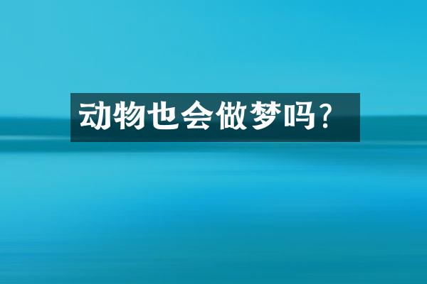 动物也会做梦吗？