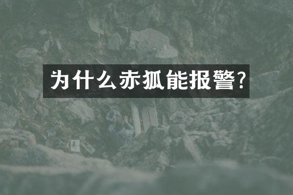 为什么赤狐能报警?