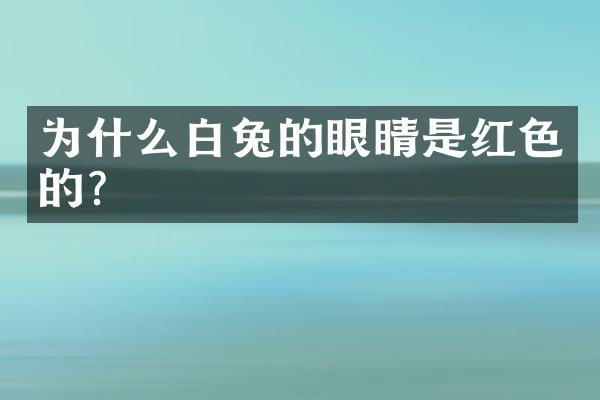 为什么白兔的眼睛是红色的?