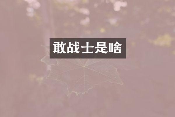 敢战士是啥