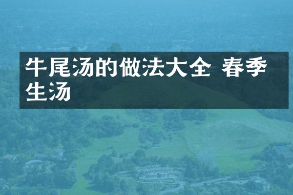 牛尾汤的做法大全 春季养生汤