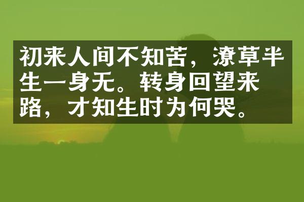 初来人间不知苦，潦草半生一身无。转身回望来时路，才知生时为何哭。
