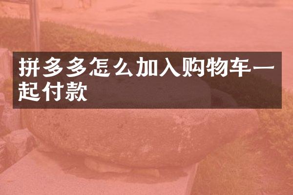 拼多多怎么加入购物车一起付款
